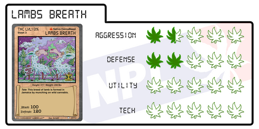 Lambs Breath