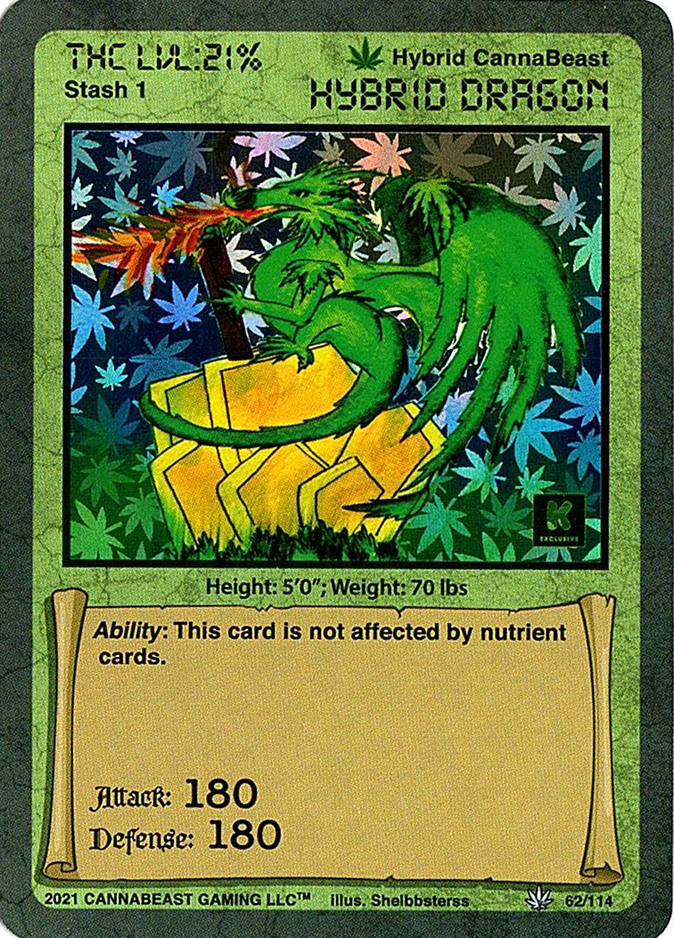 Hybrid Dragon