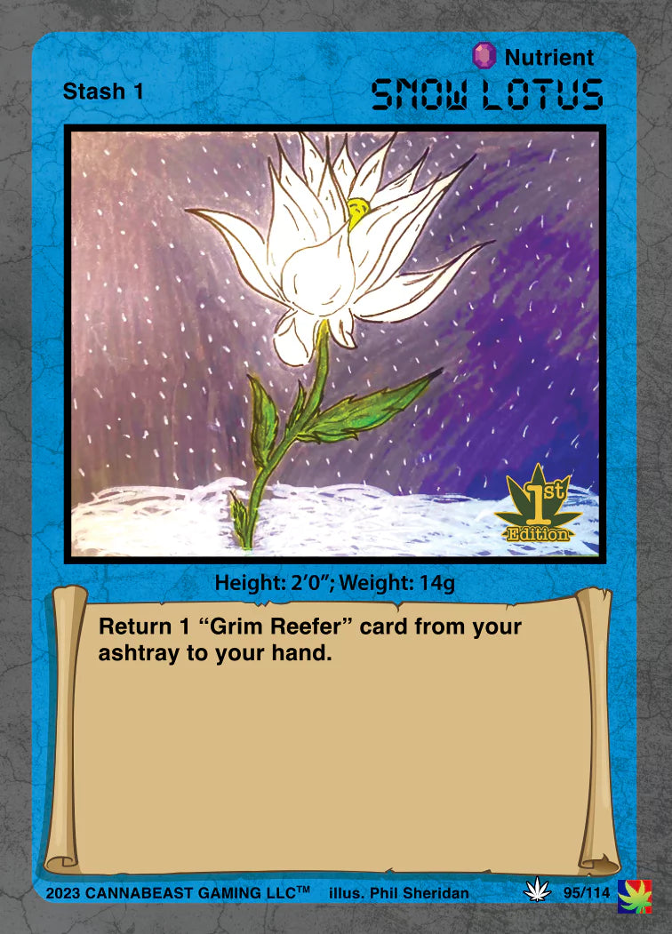 Snow Lotus