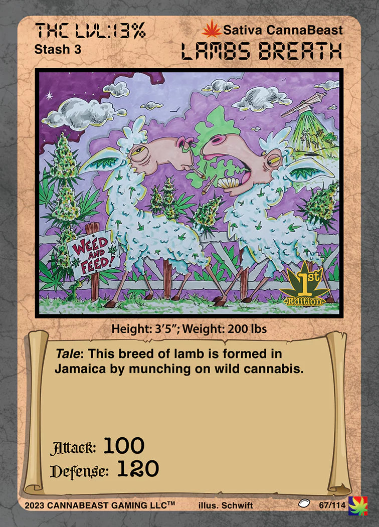 Lambs Breath