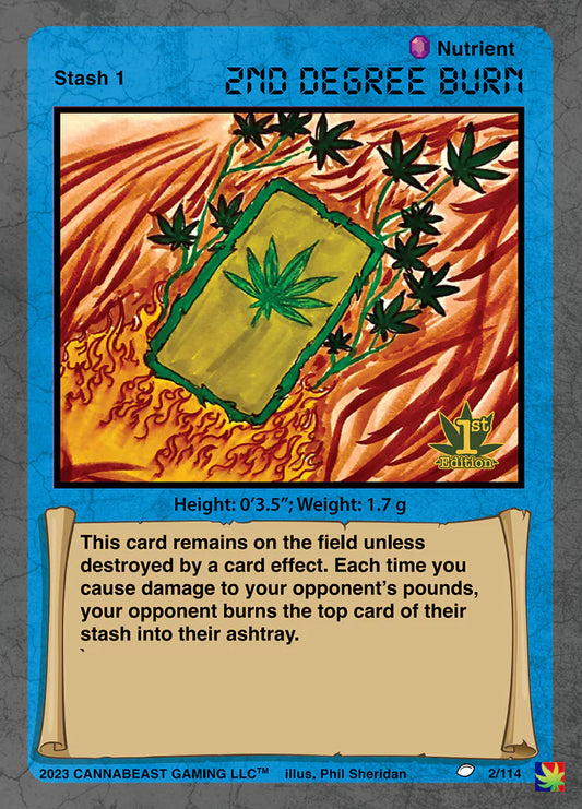 2nd Degree Burn