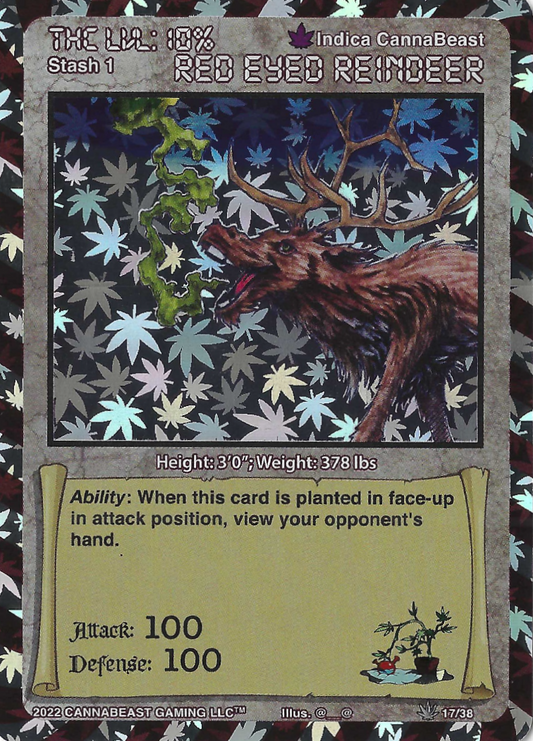 Red Eyed Reindeer