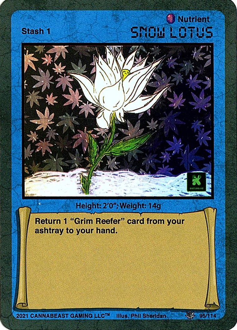 Snow Lotus